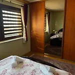 Kamelia 2